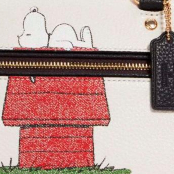 FAIR OFFERS RARE!! Coach Peanuts Snoopy Crossbody Bag - Picture 2 of 14